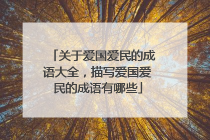 关于爱国爱民的成语大全,描写爱国爱民的成语有哪些