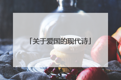 关于爱国的现代诗