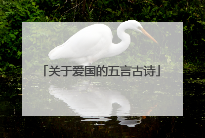 关于爱国的五言古诗