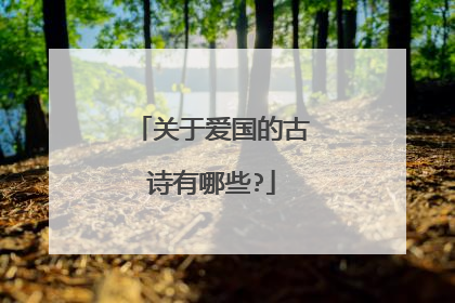 关于爱国的古诗有哪些?