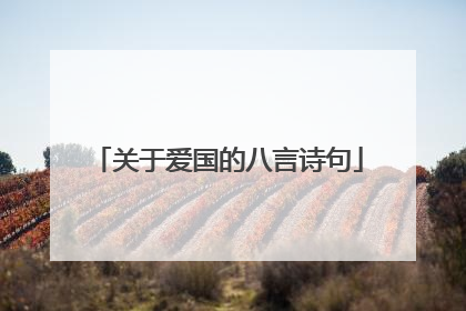 关于爱国的八言诗句