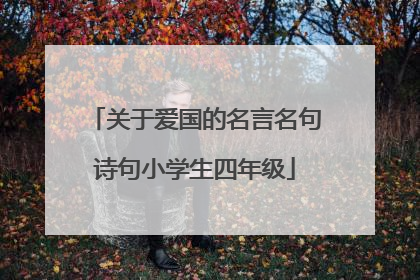 关于爱国的名言名句诗句小学生四年级