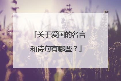 关于爱国的名言和诗句有哪些?