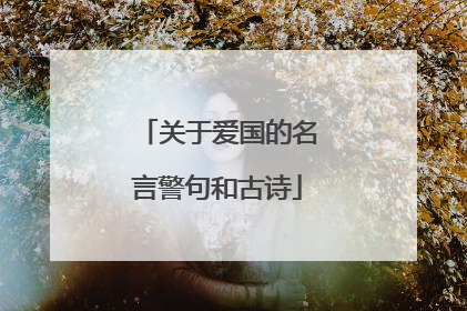 关于爱国的名言警句和古诗