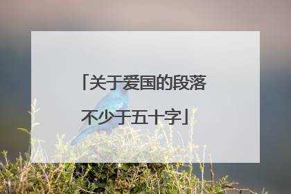 关于爱国的段落不少于五十字
