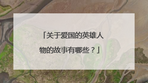 关于爱国的英雄人物的故事有哪些？