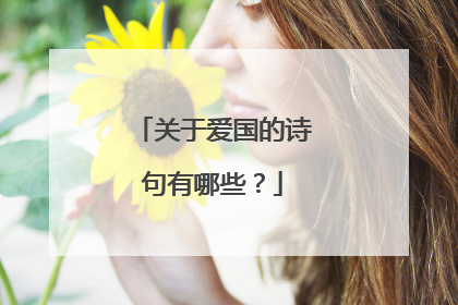 关于爱国的诗句有哪些?
