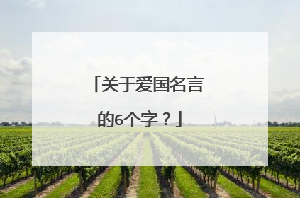 关于爱国名言的6个字？
