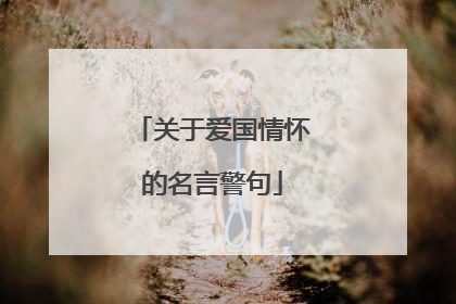 关于爱国情怀的名言警句