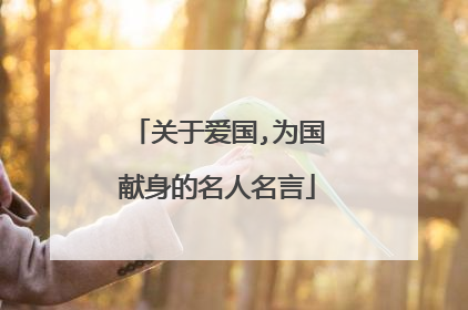 关于爱国,为国献身的名人名言