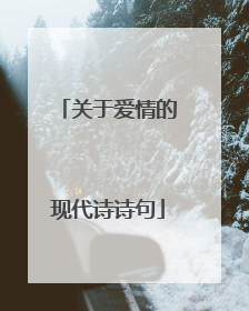 关于爱情的现代诗诗句