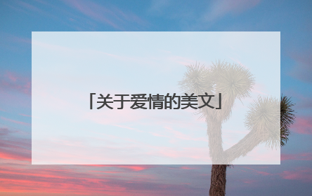 关于爱情的美文