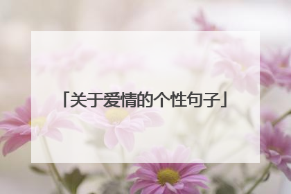 关于爱情的个性句子