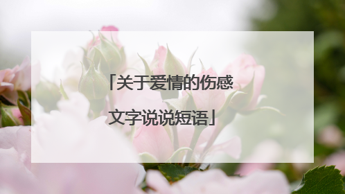 关于爱情的伤感文字说说短语