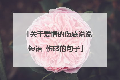 关于爱情的伤感说说短语_伤感的句子