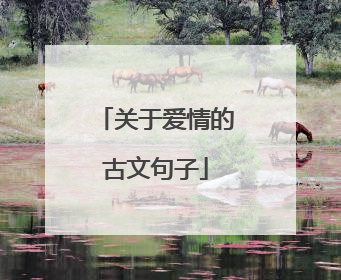 关于爱情的古文句子