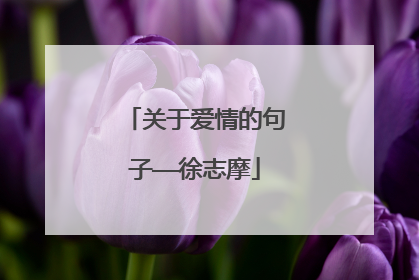 关于爱情的句子——徐志摩