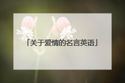 关于爱情的名言英语