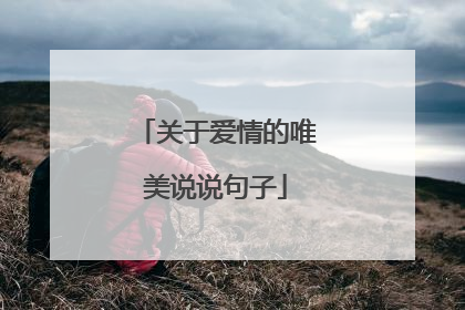关于爱情的唯美说说句子
