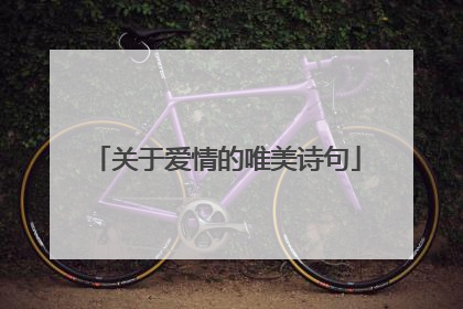 关于爱情的唯美诗句