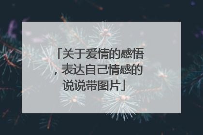 关于爱情的感悟,表达自己情感的说说带图片