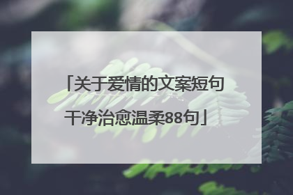 关于爱情的文案短句干净治愈温柔88句