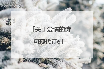关于爱情的诗句现代诗6