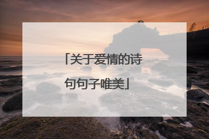 关于爱情的诗句句子唯美