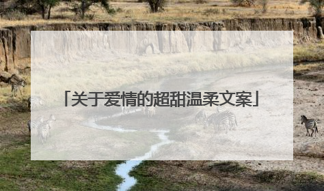 关于爱情的超甜温柔文案