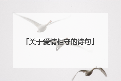 关于爱情相守的诗句