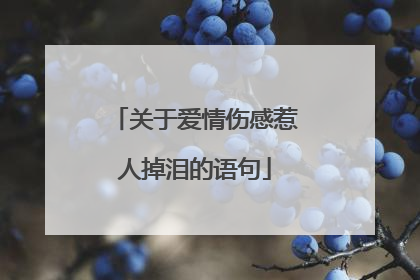 关于爱情伤感惹人掉泪的语句