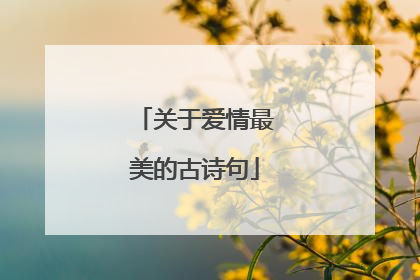 关于爱情最美的古诗句