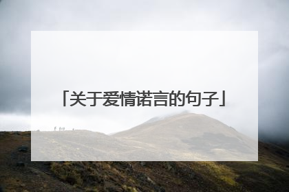 关于爱情诺言的句子