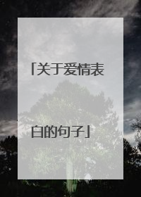 关于爱情表白的句子