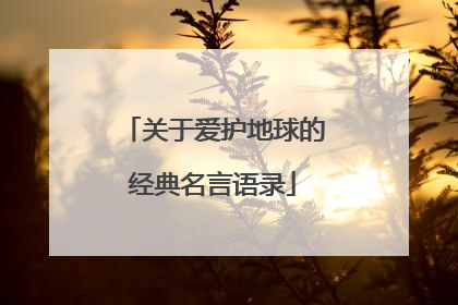 关于爱护地球的经典名言语录