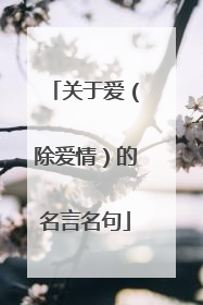关于爱（除爱情）的名言名句