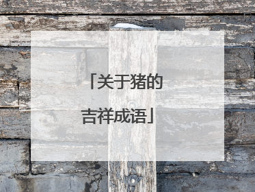 关于猪的吉祥成语