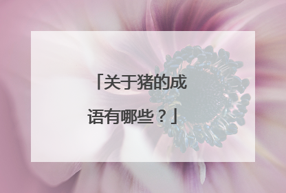 关于猪的成语有哪些？