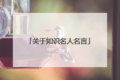 关于知识名人名言