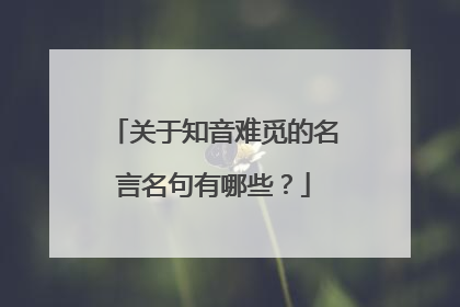 关于知音难觅的名言名句有哪些？