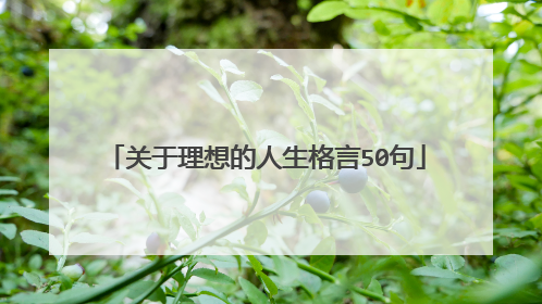 关于理想的人生格言50句