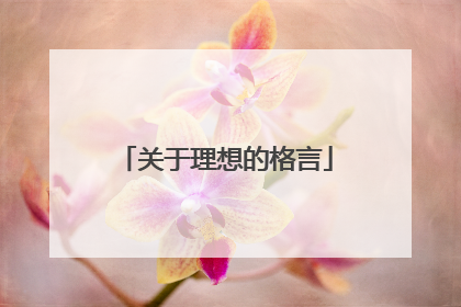 关于理想的格言