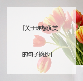 关于理想优美的句子摘抄