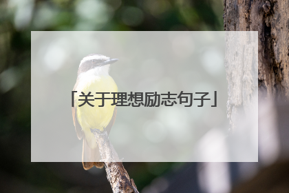 关于理想励志句子