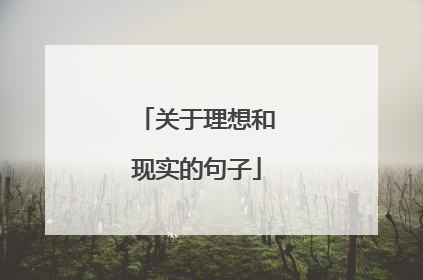 关于理想和现实的句子
