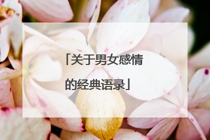 关于男女感情的经典语录