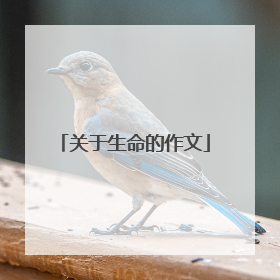 关于生命的作文