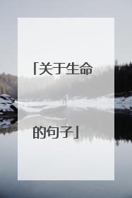 关于生命的句子