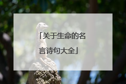 关于生命的名言诗句大全