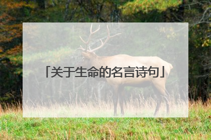 关于生命的名言诗句